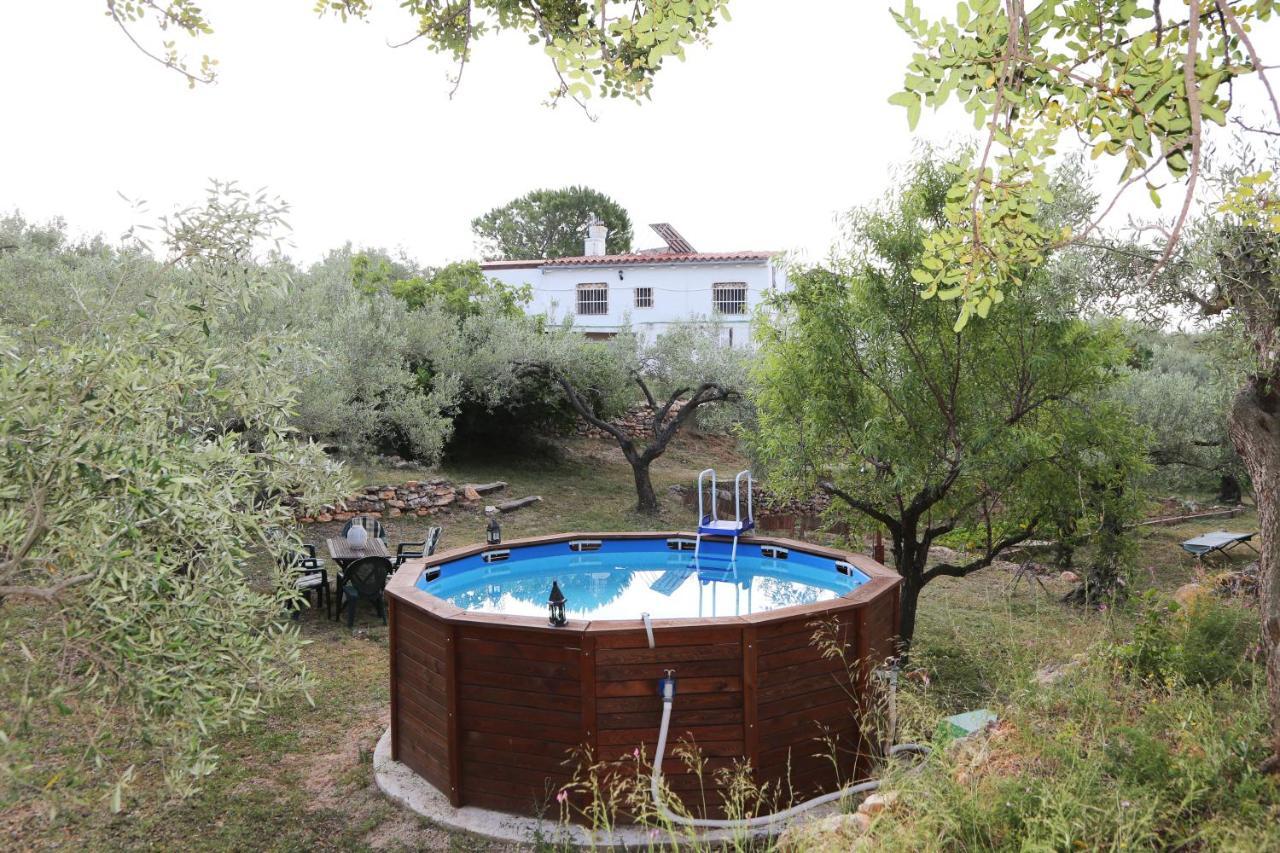Hotel Yurta Mongola Delta Del Ebro Camarles Exterior foto