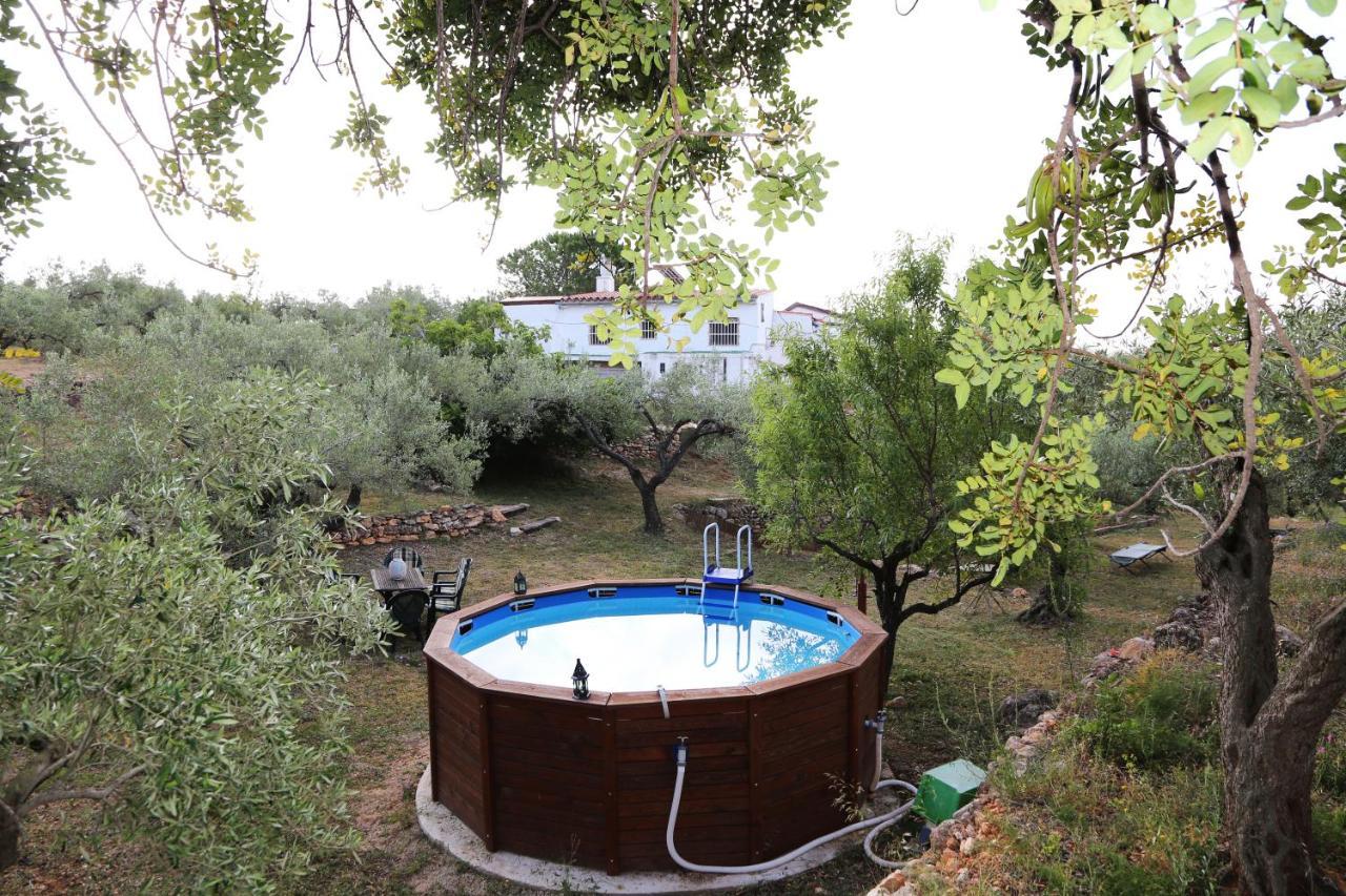 Hotel Yurta Mongola Delta Del Ebro Camarles Exterior foto