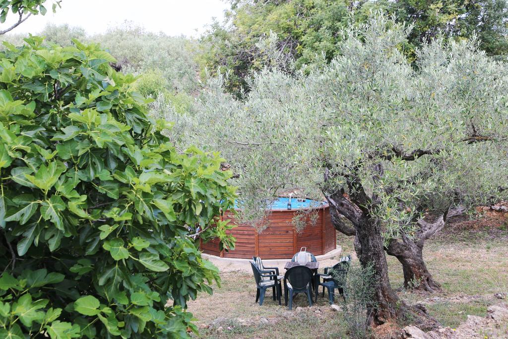Hotel Yurta Mongola Delta Del Ebro Camarles Exterior foto
