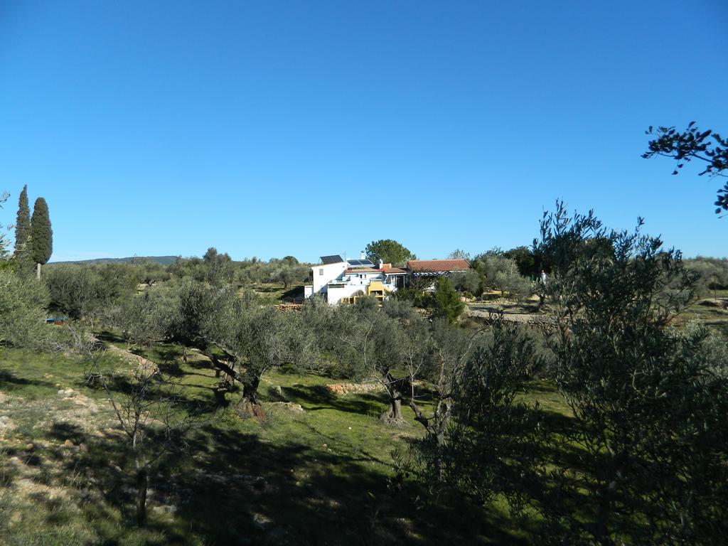 Hotel Yurta Mongola Delta Del Ebro Camarles Exterior foto