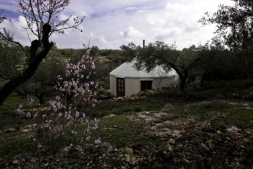 Hotel Yurta Mongola Delta Del Ebro Camarles Exterior foto